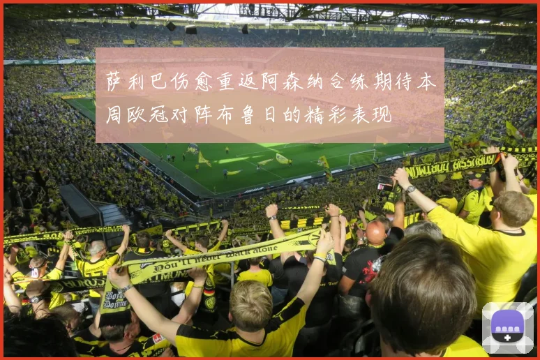 萨利巴伤愈重返阿森纳合练期待本周欧冠对阵布鲁日的精彩表现