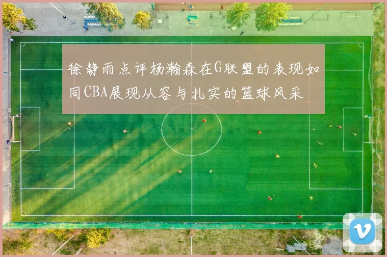 徐静雨点评杨瀚森在G联盟的表现如同CBA展现从容与扎实的篮球风采