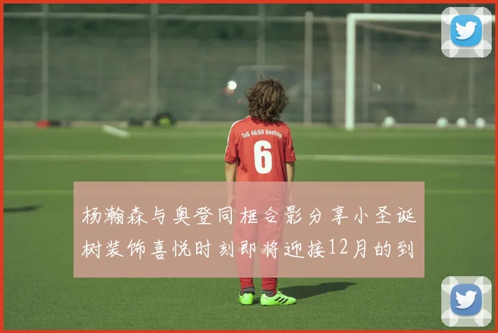 杨瀚森与奥登同框合影分享小圣诞树装饰喜悦时刻即将迎接12月的到来