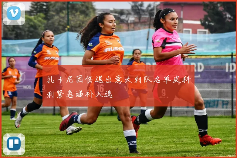 扎卡尼因伤退出意大利队名单皮科利紧急递补入选